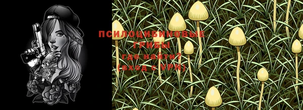 MDMA Белокуриха