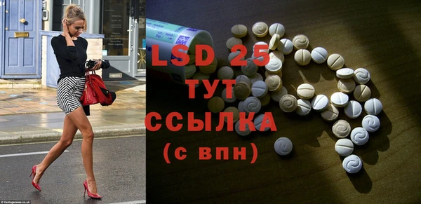 ECSTASY Богданович