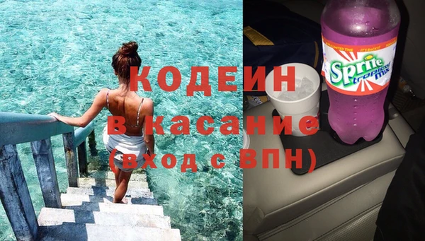 ECSTASY Богданович