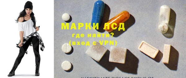 ECSTASY Богданович